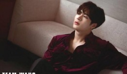 独家爆料明星王嘉尔视频,王嘉尔幕后花絮视频曝光，精彩瞬间引粉丝热议